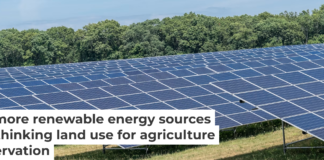Large-scale solar power plants are key elements of energy policies in New York and other states. Lev Radin/Pacific Press/LightRocket via Getty Images
